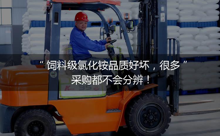 飼料級氯化銨品質(zhì)好壞，很多采購都不會分辨！