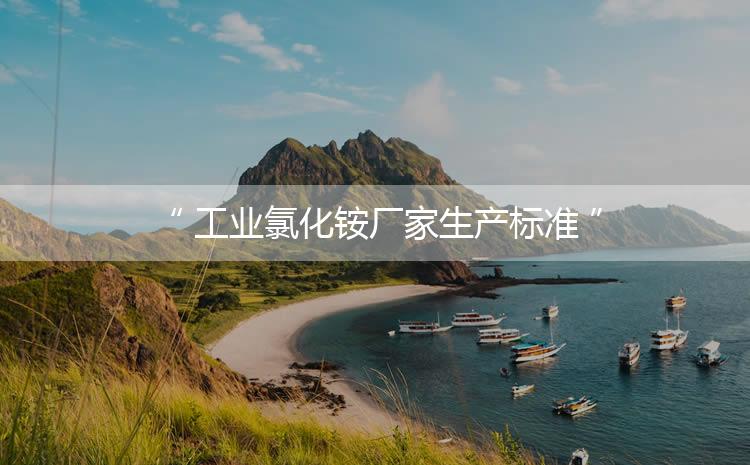 工業(yè)氯化銨廠家生產(chǎn)標(biāo)準(zhǔn)，生產(chǎn)過程進(jìn)行嚴(yán)密的監(jiān)控！