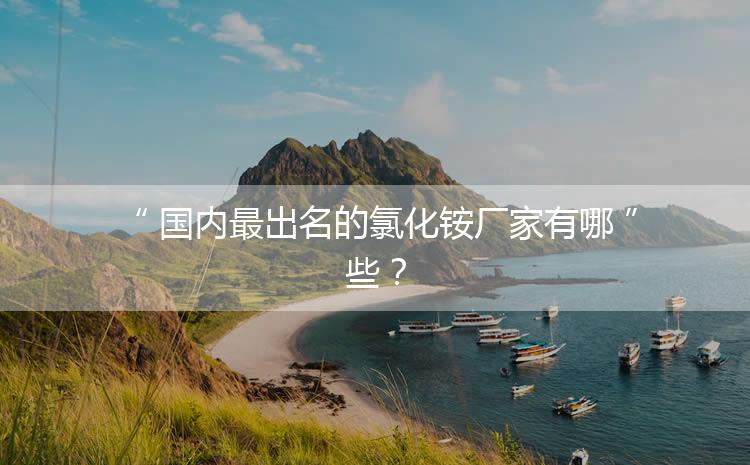 國(guó)內(nèi)最出名的氯化銨廠家有哪些？