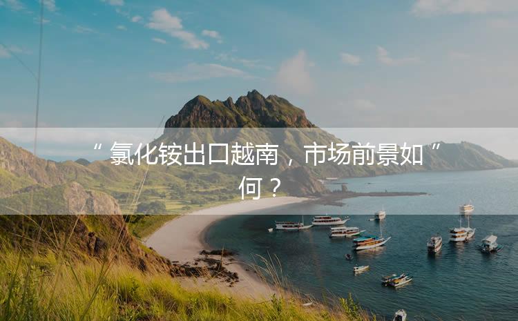 氯化銨出口越南，市場(chǎng)前景如何？
